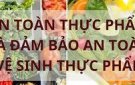 NGỘ ĐỘC THỰC PHẨM TRONG MÙA HÈ VÀ CÁC PHÒNG BỆNH